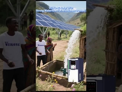 Inversor de bomba de agua solar con control de frecuencia MPPT para un bombeo óptimo